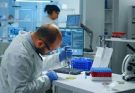 Expertise in Gene Therapy Development