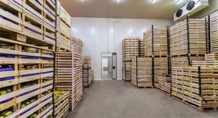 Shipping Crates
